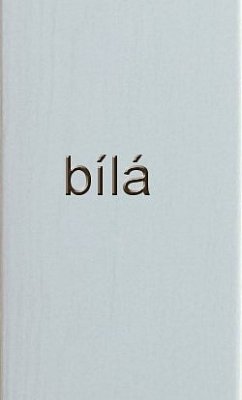 Regál na 20 lahví 525 x 260 x 600 mm Bílá